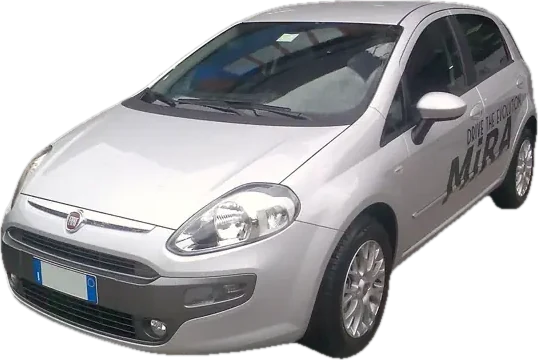 Fiat Punto Evo (199)