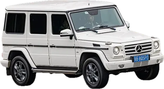 Mercedes-Benz G-Class W463 (G 270/320/350/400 CDI, G 55/63/65 AMG)